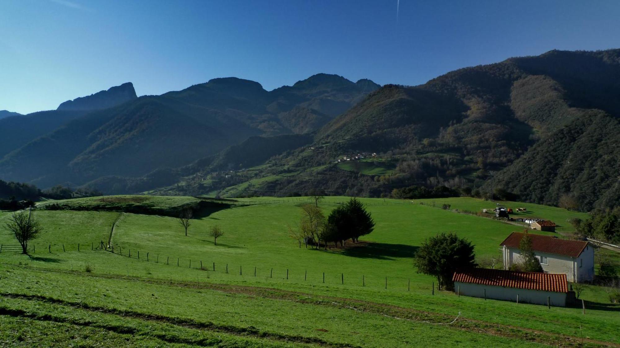 Posada Valle Del Oso Lerones Екстер'єр фото