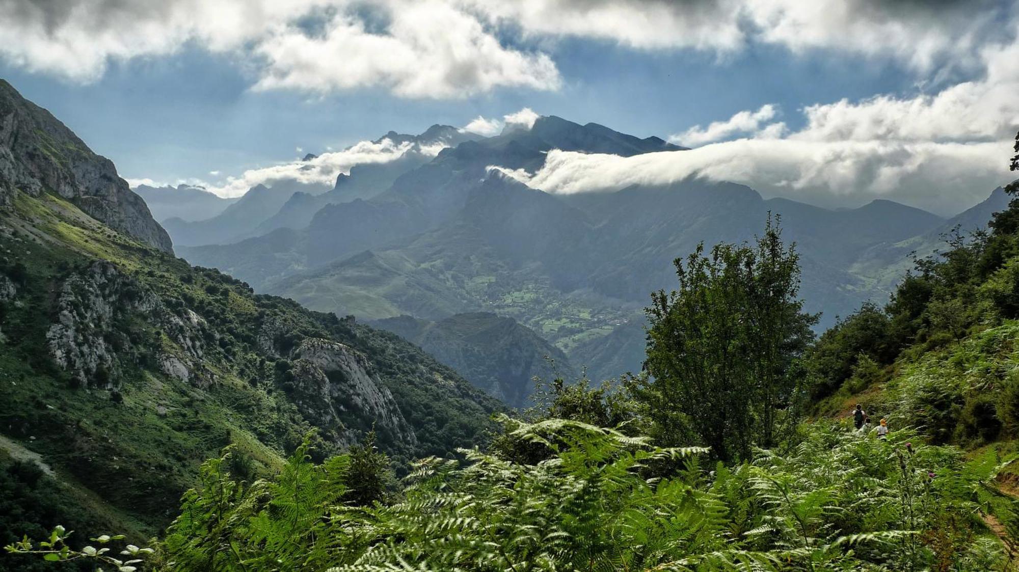 Posada Valle Del Oso Lerones Екстер'єр фото